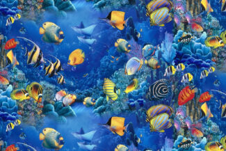 top-10-aquarium-fish