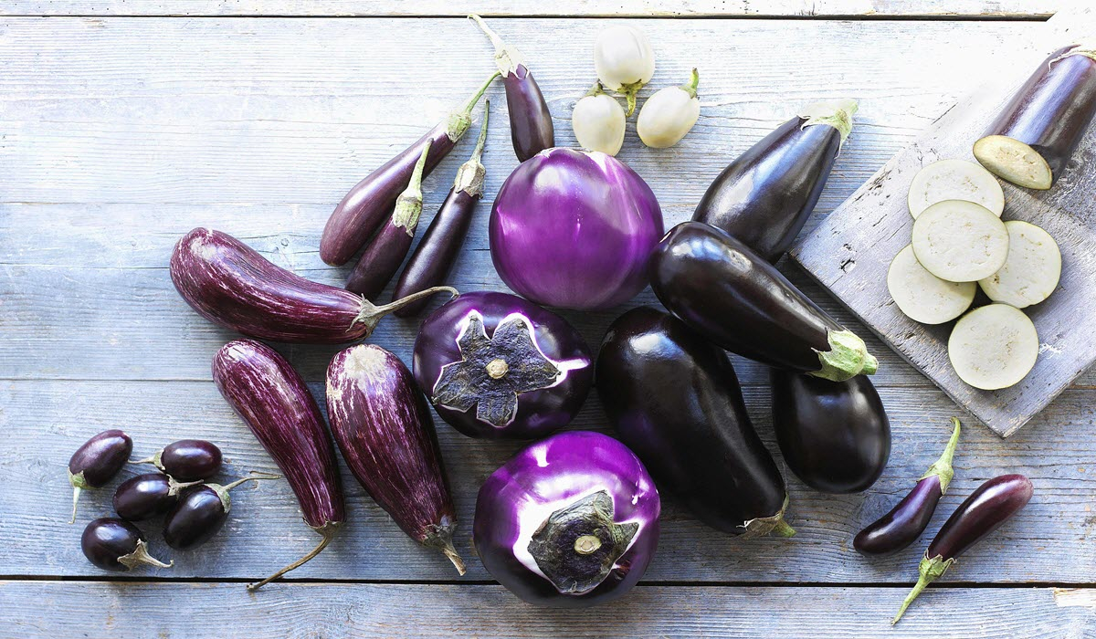 eggplant-types