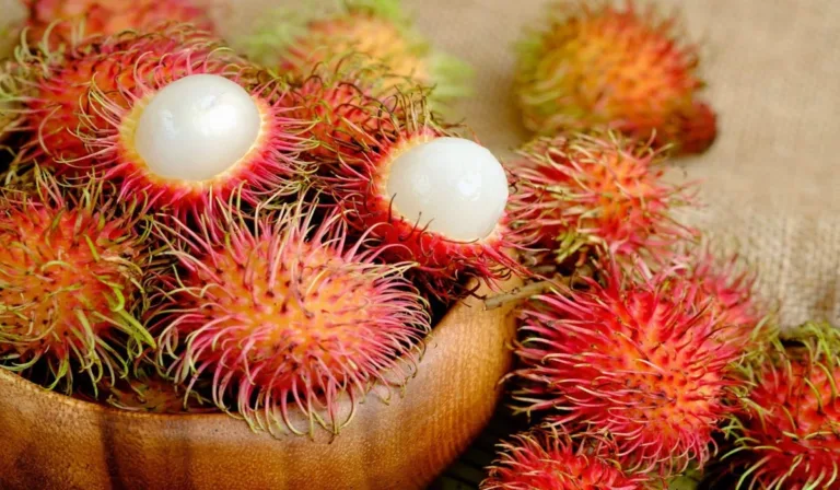 grow rambutan fruit