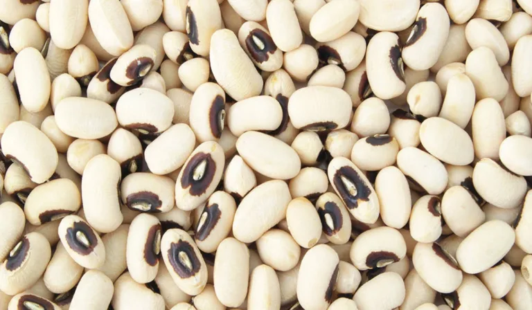 grow cow pea